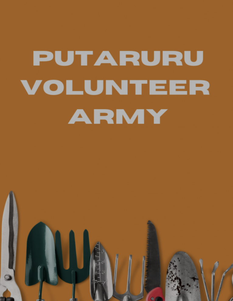 Volunteer army