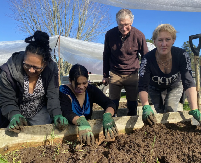 Screenshot 2025-05-21 132134